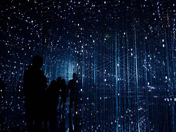 Libero Enim Sedfaucibus Turpis Magna Fermentum Justoeget 1 robynne hu HOrhCnQsxnQ unsplash