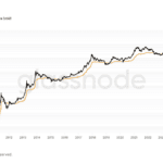Professional financial chart showing bitcoin price volatility and support levels