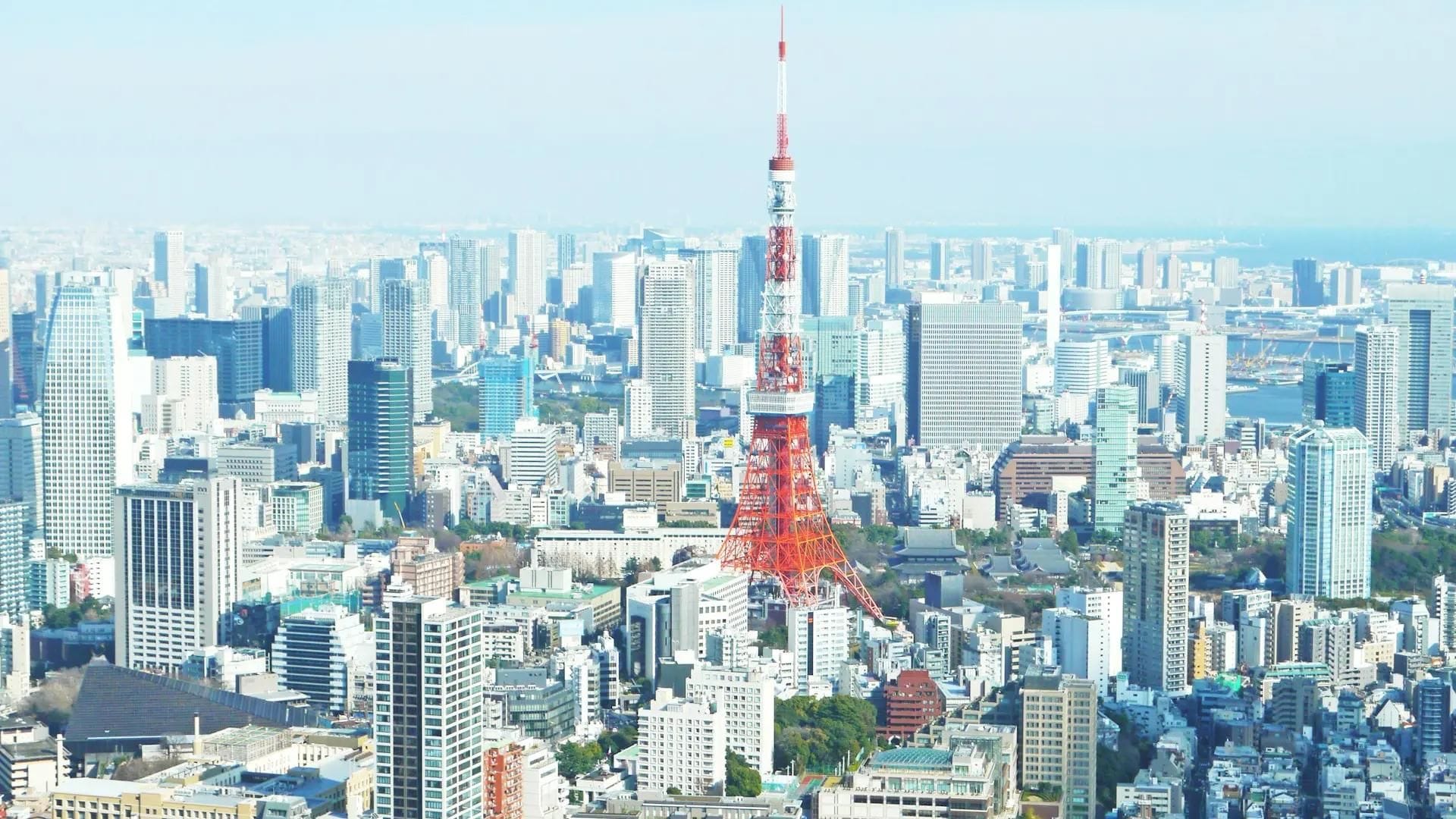 Financial chart representing sbi's $289 million investment in Japanese crypto exchange Bitbank
