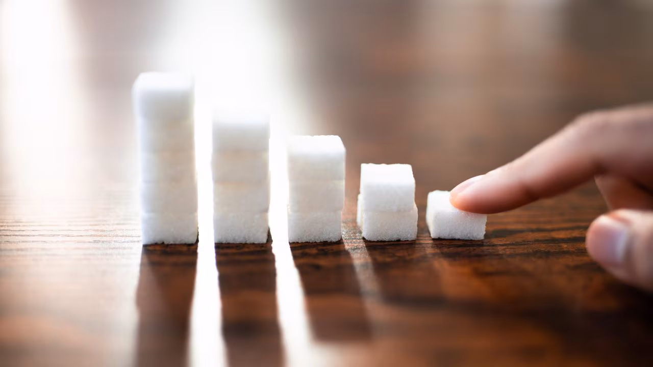Sugar industry seeks: The Essential Urgent Update 1 Sugar industry representatives discussing policy reforms and pricing models