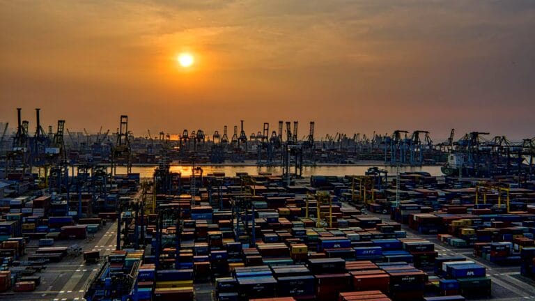 Professional analyzing global trade research data on a digital dashboard