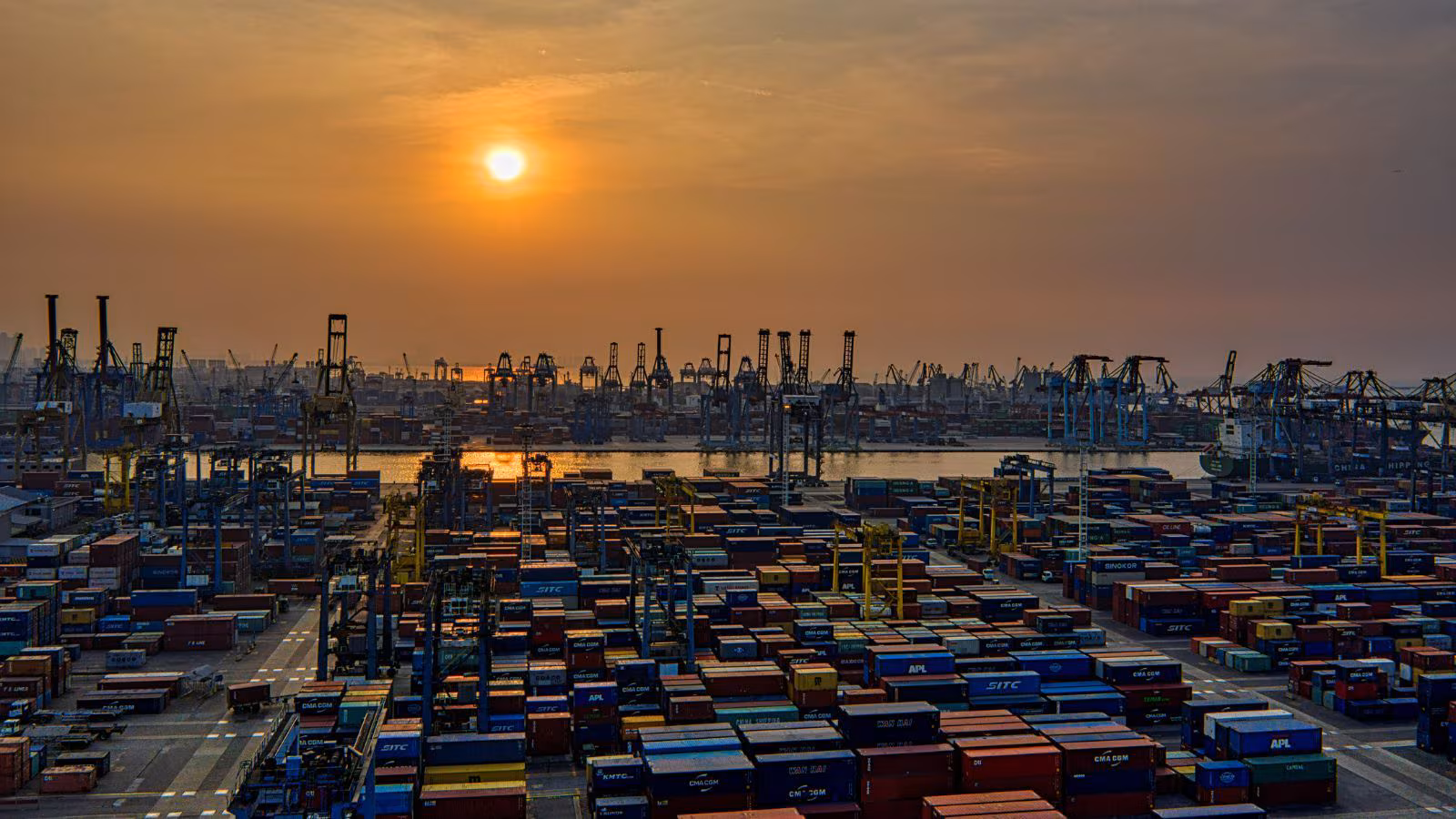 Professional analyzing global trade research data on a digital dashboard