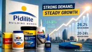 Professional analysis of mumbai-based pidilite retains financial performance